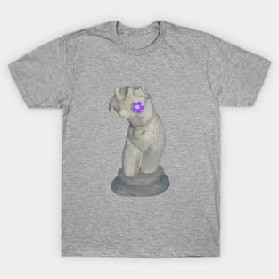 Torso Of Venus T-Shirt